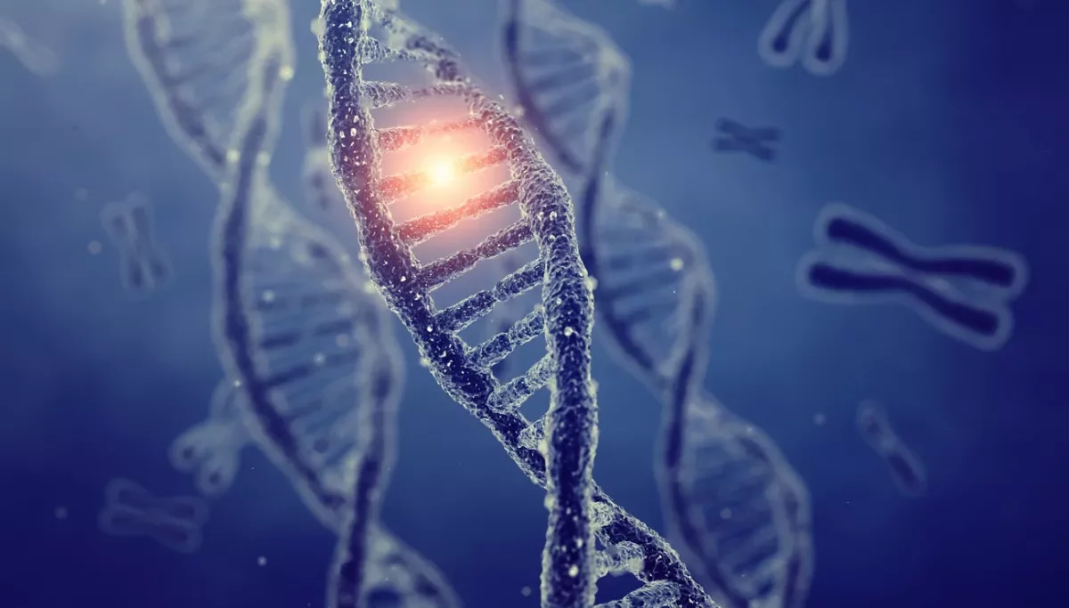 Obésité et facteurs génétiques